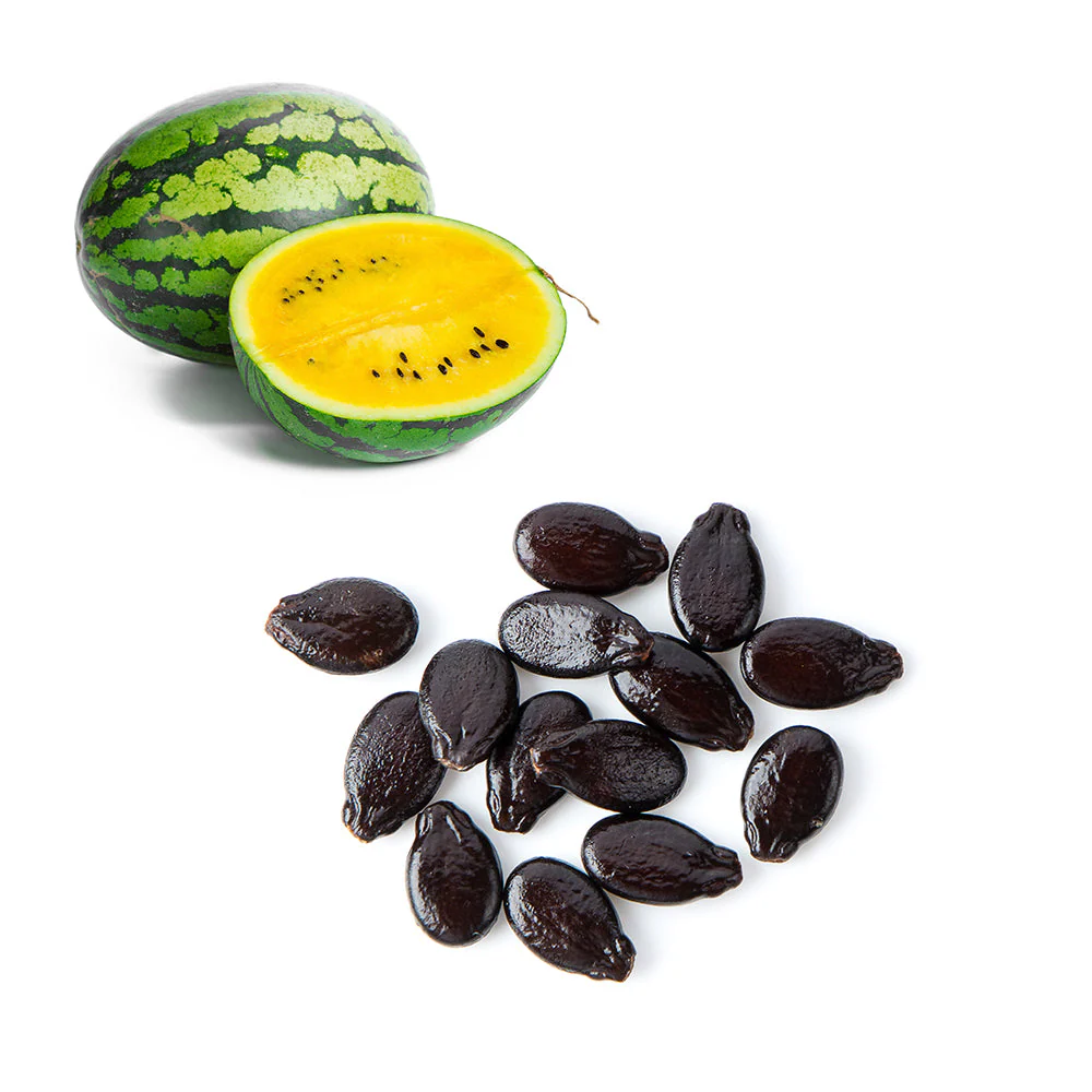 Hybrid Watermelon – Yellow Flesh (F1)