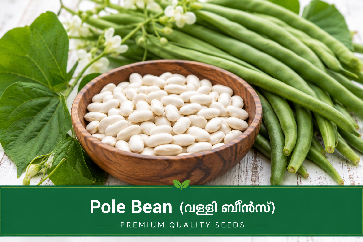 Pole Bean (വള്ളി ബീൻസ്)