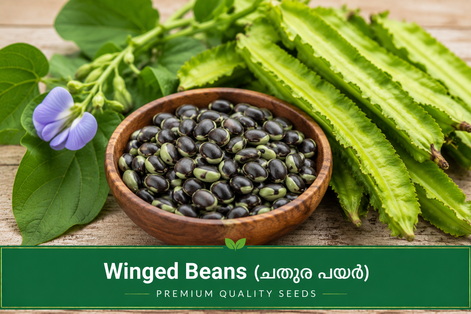 Winged Beans (ചതുര പയർ)