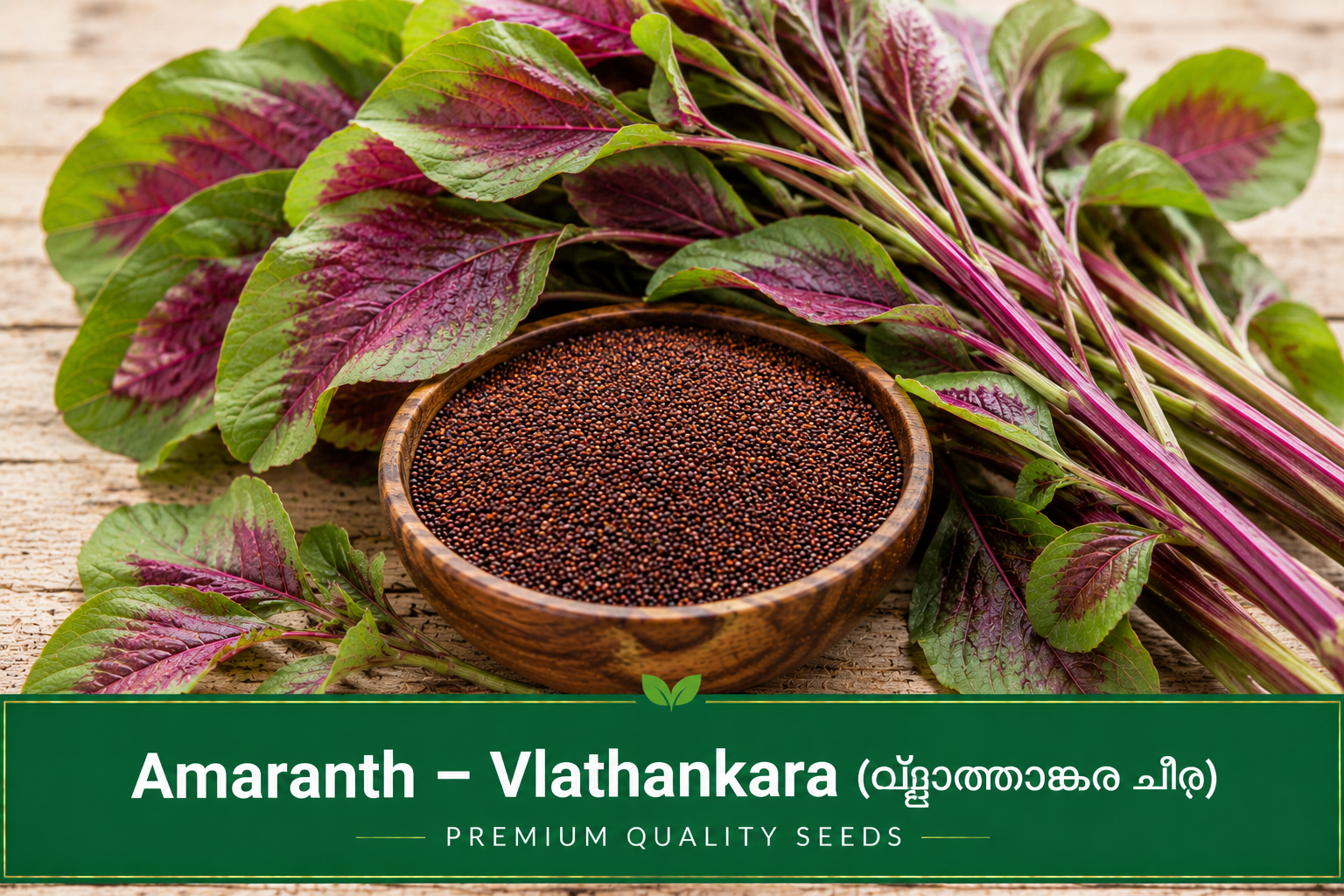 Amaranth – Vlathankara (വ്ളാത്താങ്കര ചീര)