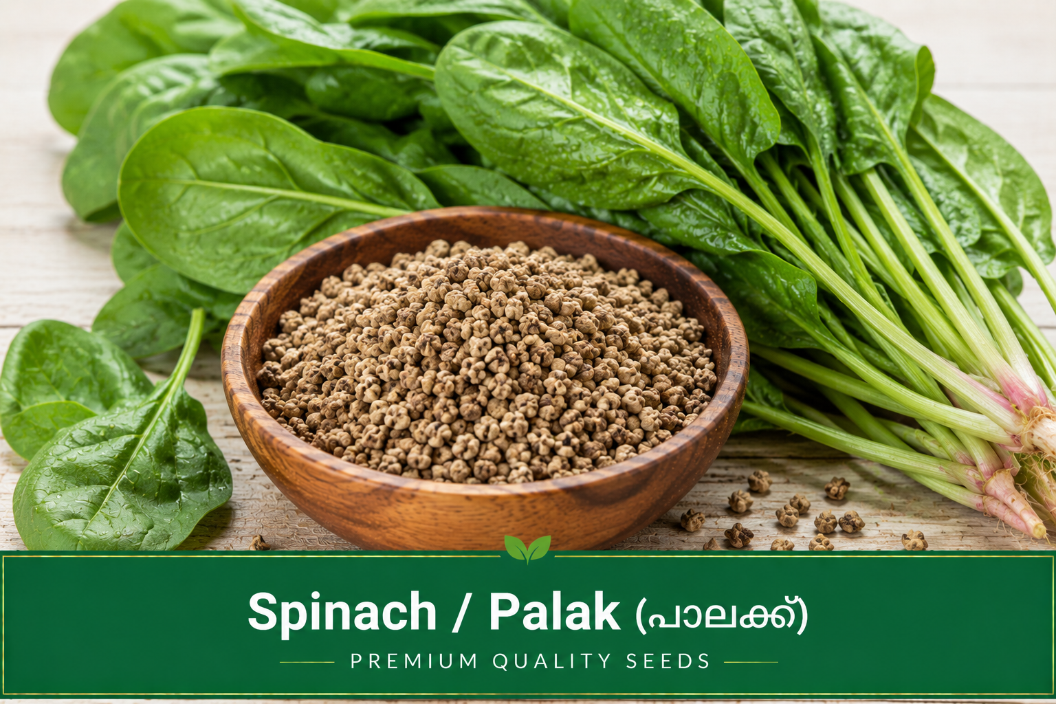 Spinach / Palak (പാലക്ക്)