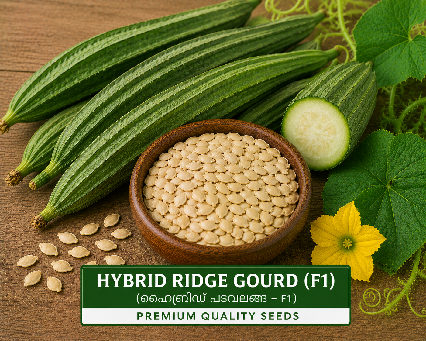 Hybrid Ridge Gourd (F1)
