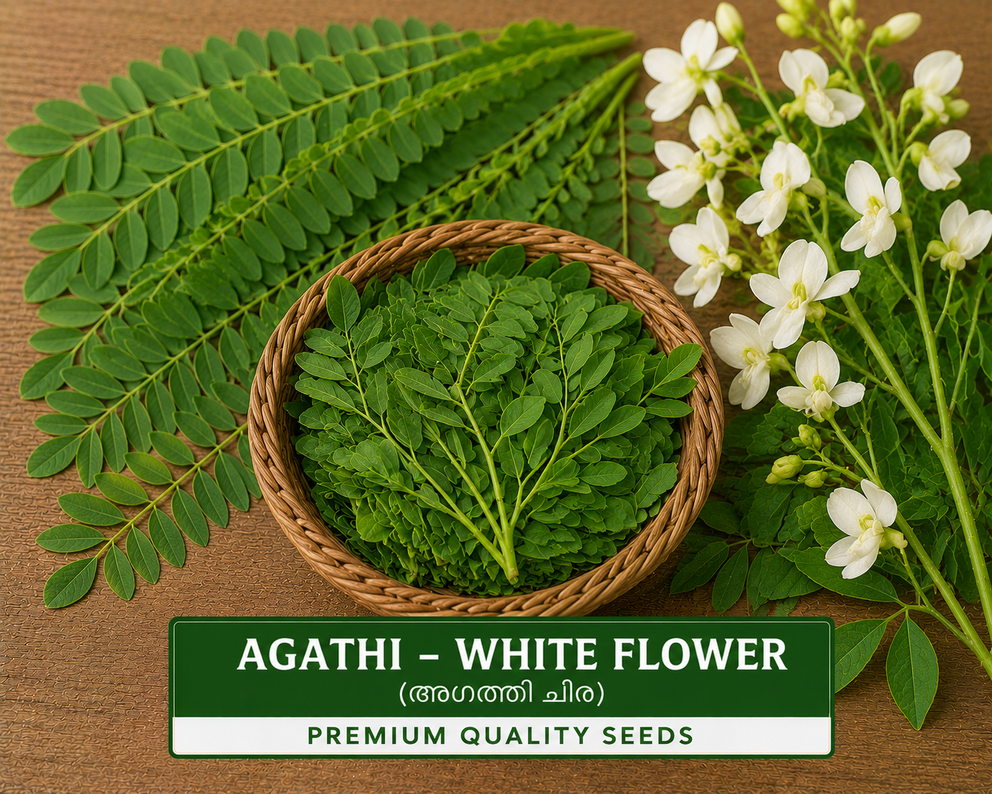 Agathi – White Flower (അഗത്തി ചീര)
