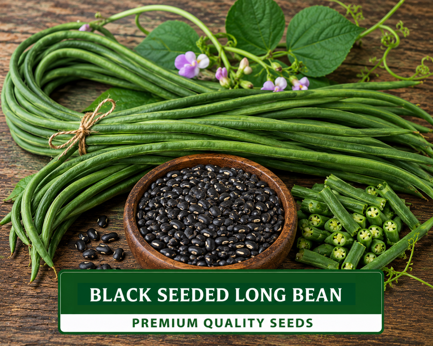 All Seeds
